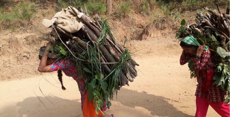 ३३ लाख जनता इन्धनका लागि अझै दाउराकै भरमा